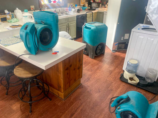 Best Emergency water damage restoration  in Meadowbrook, AL