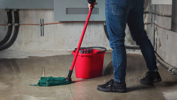 Best Flood damage cleanup  in Meadowbrook, AL
