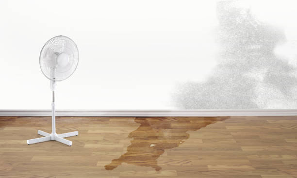 Professional Water damage restoration in Meadowbrook, AL