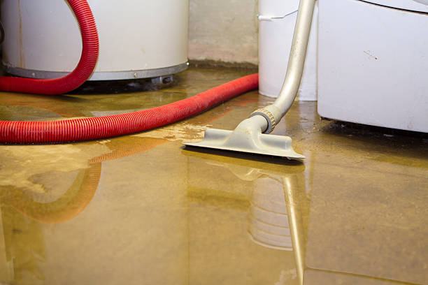 Best Water damage restoration cost  in Meadowbrook, AL