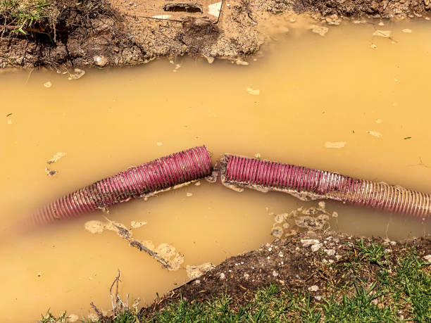 Best Water damage restoration near me  in Meadowbrook, AL