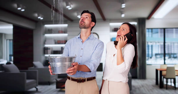 Carpet water damage restoration in Meadowbrook, AL