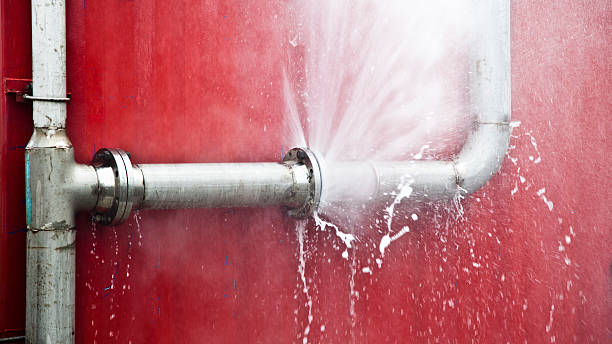 Best 24/7 water damage repair  in Meadowbrook, AL